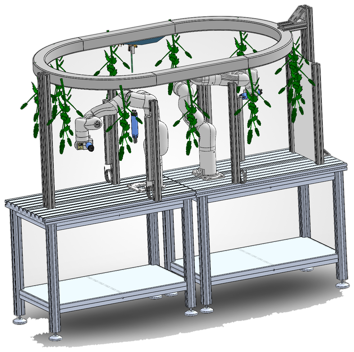 The Ai Bucker minimum configuration: two robot stations under an overhead oval carrier loop with branches hanging from trolleys
